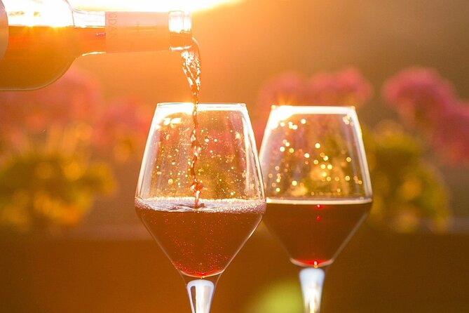 Vineyard tour and wine tasting in Davron - Learning the stages of wine tasting