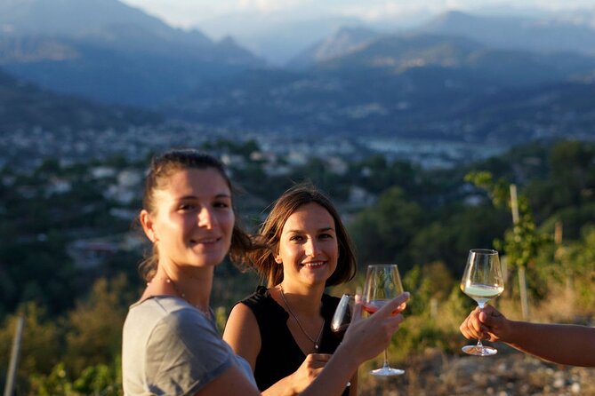 Vineyard Tour with Wine Tasting within Nice city borders - Quick highlights you’ll care about