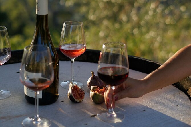 Vineyard Tour with Wine Tasting within Nice city borders - Meeting at 482 Chem. de Saquier: plan transport like an adult
