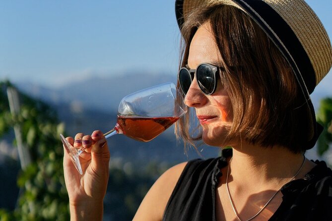 Vineyard Tour with Wine Tasting within Nice city borders - Three local wines in English: what to expect from the tasting