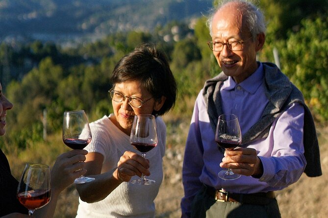 Vineyard Tour with Wine Tasting within Nice city borders - Small group rules: why 15 people makes a difference here