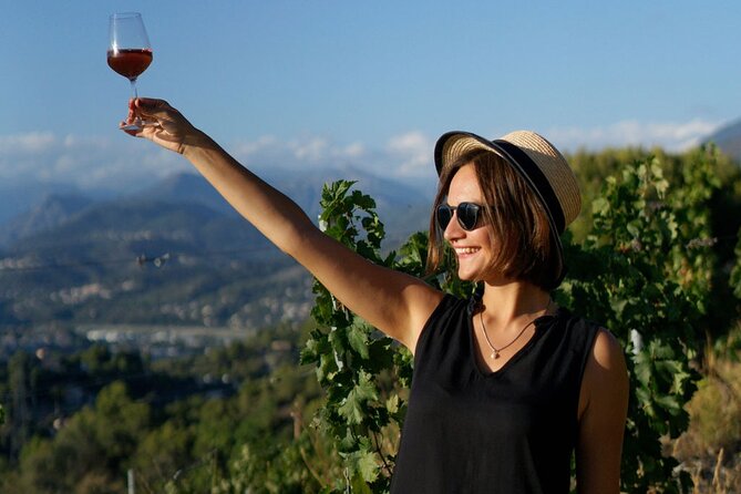 Vineyard Tour with Wine Tasting within Nice city borders - Price and value: $39.91 for views, cellar time, and three wines