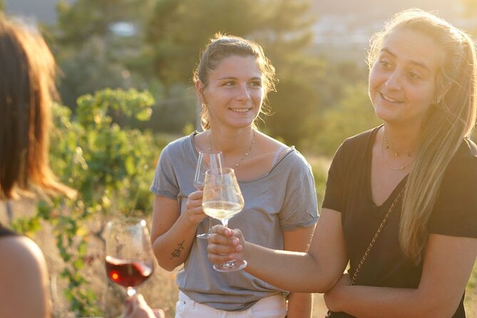 Vineyard Tour with Wine Tasting within Nice city borders - The one drawback to plan around: food and timing