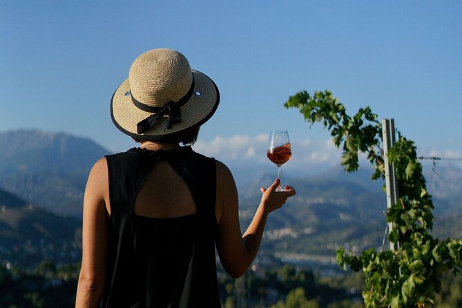 Vineyard Tour with Wine Tasting within Nice city borders - The 90-minute flow: vineyard walk, cellar tour, three-wine tasting