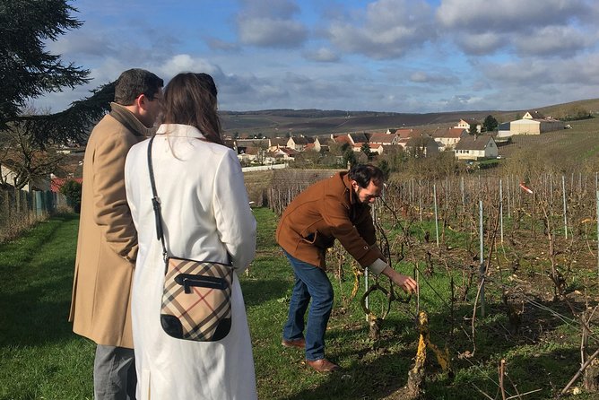 Vineyard Walking Tour & 5 Champagnes Tasting - Key points to know before booking