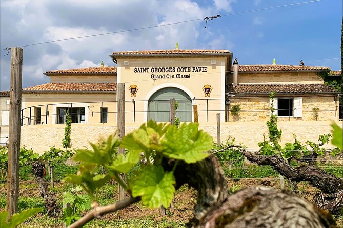 Visit and Tasting Château Saint-Georges Cote Pavie, Grand Cru Classé - Key Highlights to Know Before You Go