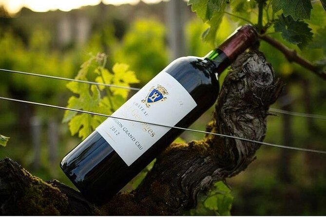 Visit and Tasting Château Saint-Georges Cote Pavie, Grand Cru Classé - What Makes This Tour Different From the Typical Big Winery Visit