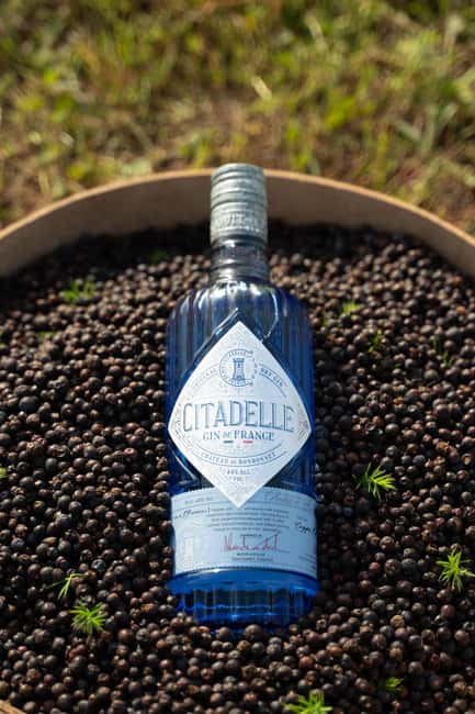 Visit Citadelle Gin Distillery - Where the Citadelle gin story starts: Château de Bonbonnet area