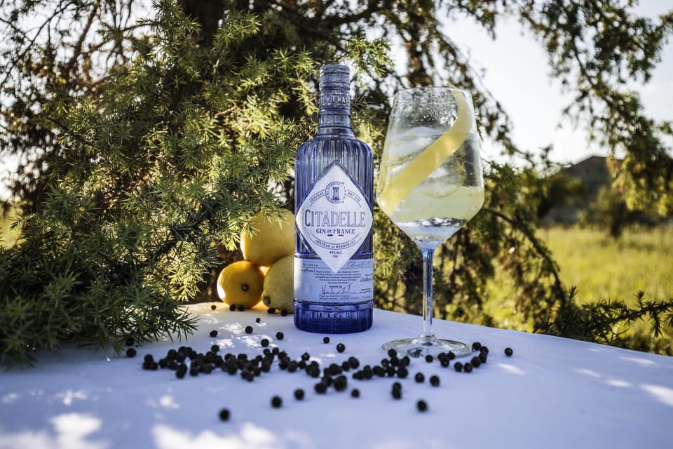 Visit Citadelle Gin Distillery - The tasting flight: Original, Jardin d’été, Rouge, Cornichon