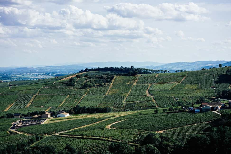 Visit : From Château des Thorins to Château du Moulin-à-Vent - Key points to know before you go