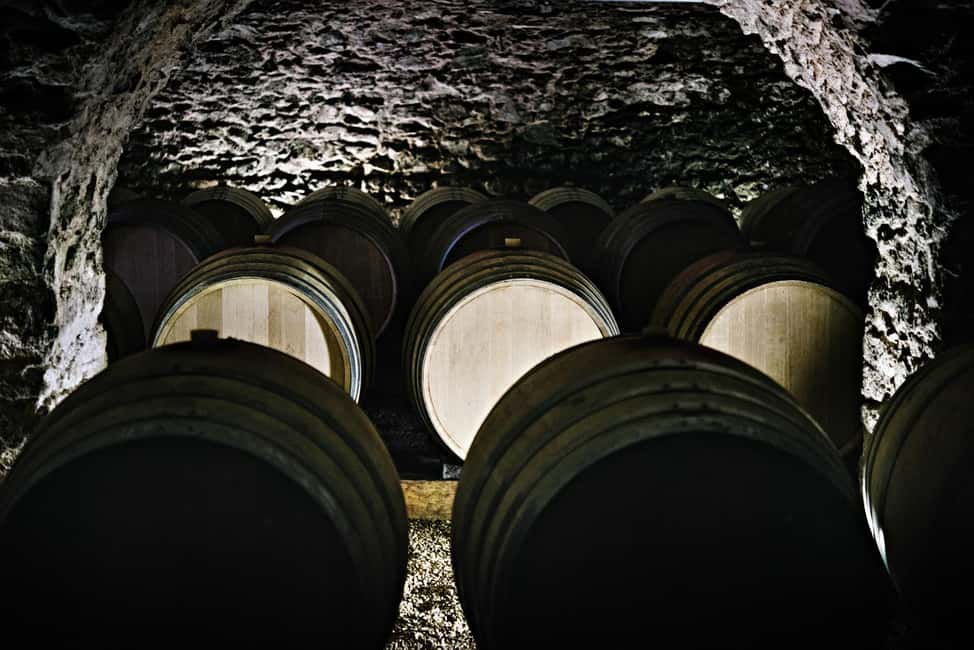 Visit : From Château des Thorins to Château du Moulin-à-Vent - The 16th-century vaulted cellar