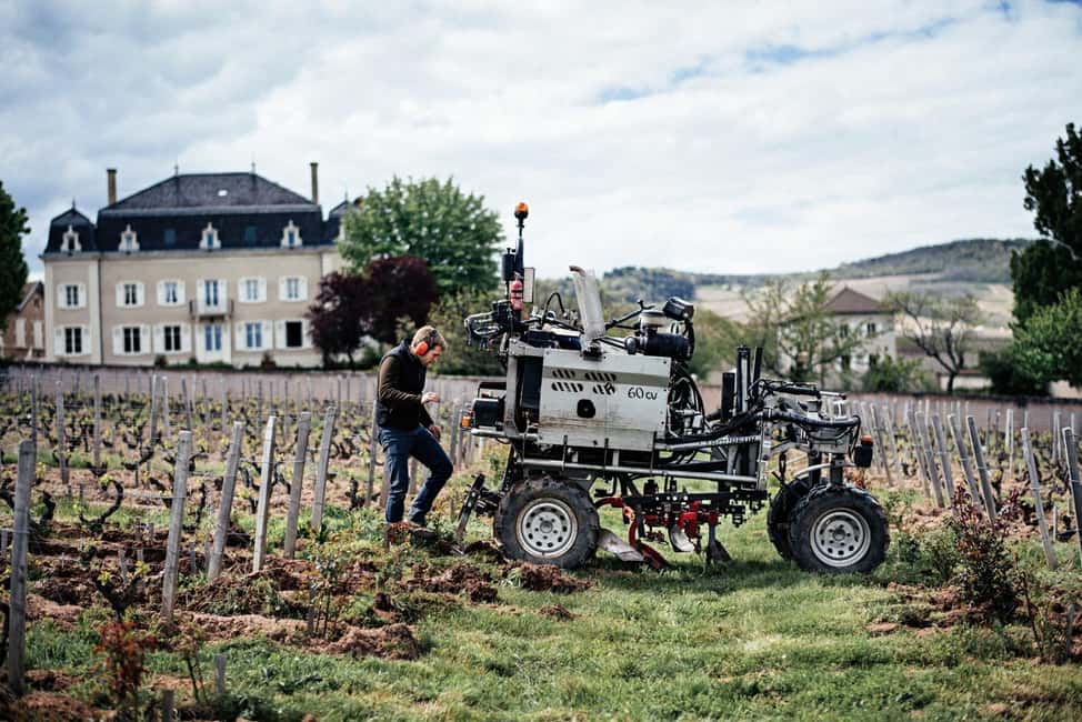 Visit : From Château des Thorins to Château du Moulin-à-Vent - Four wines in the Chapelle des Thorins