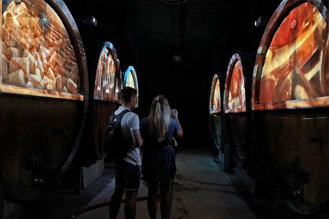 Visit of Cave Immersive - tasting - Kougelhopf to Strasbourg - Walk-through flow: vineyard, cellar, and bottle room