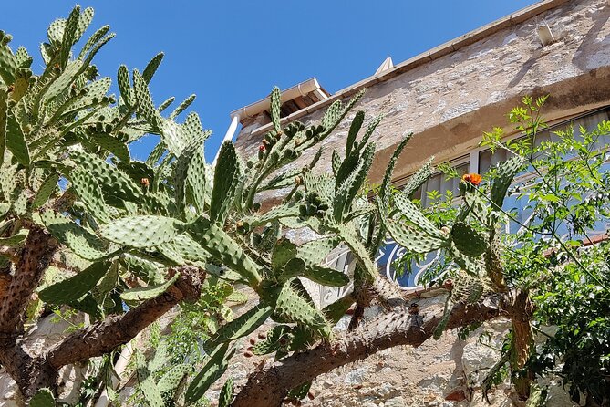 Visit of the Medieval Village of Èze - The climb to Jardin Exotique d’Èze