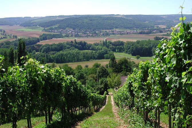 Visit-Tasting-Sale - The Tasting Flight: Reds and Whites With Real Purpose