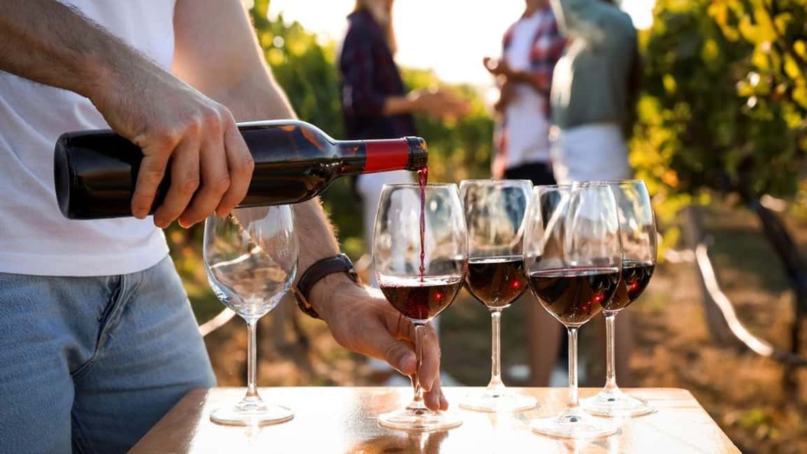 Visit the vineyards and discover Bandol wines - How this Bandol tour works (and why it’s such good value)