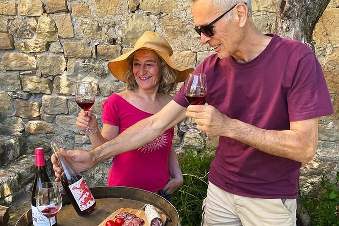 Visit to the Faugères Vineyards with Picnic from Béziers - The 9:30 a.m. departure from Béziers