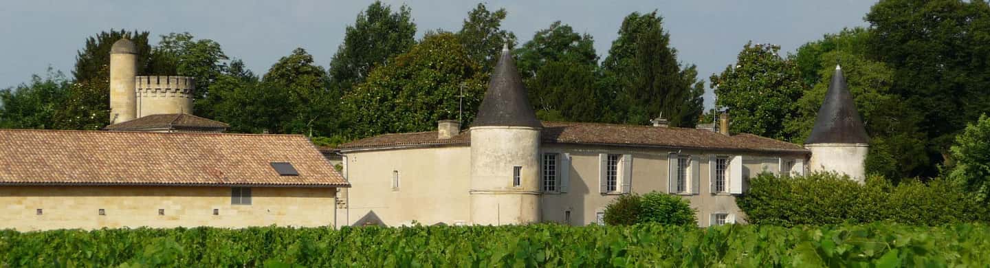 Visit to the property and wine/cheese pairing workshop - The 2-hour rhythm: how the visit flows