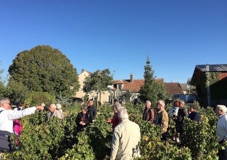 Visite et Dégustation Chablis Clotilde Davenne en français - Auxerrois and cremants: the smart way to explore beyond the stereotype