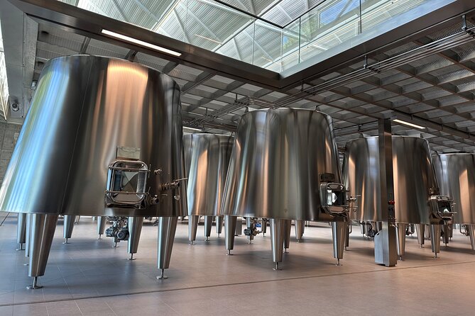 Visits and Tastings in the Médoc in Small Group with Meal - Château Micalet and a smaller producer