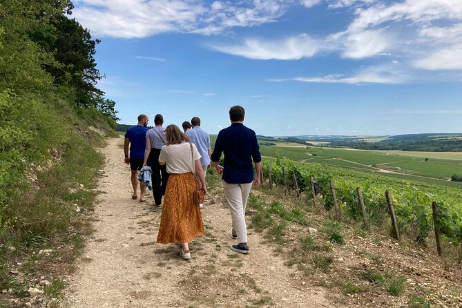 Walk in the vineyards of Chablis Grands Crus - Walking into the Grand Cru vineyards