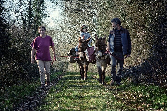 Walks and hikes with donkeys - Learning how to hike safely with a donkey
