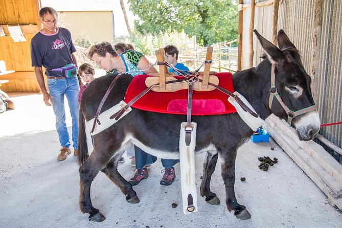 Walks and hikes with donkeys - A strong choice for families and school groups