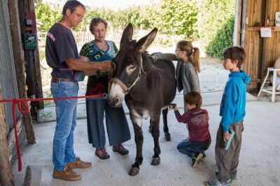 Walks and hikes with donkeys - A few kilometers through the Melusin country