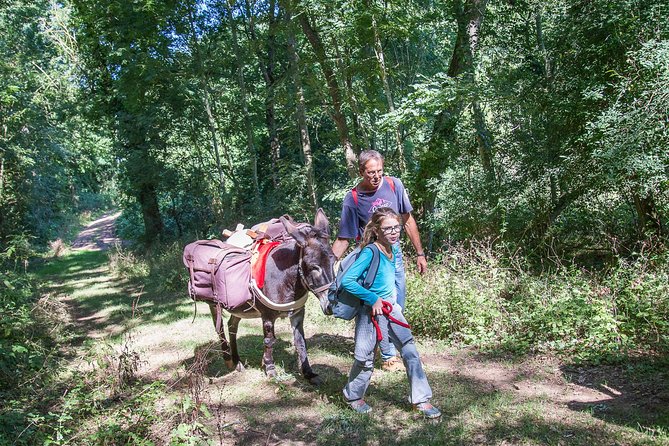 Walks and hikes with donkeys - What the donkey adds to the walk