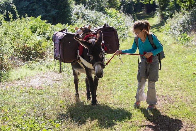 Walks and hikes with donkeys - The practical limits to consider