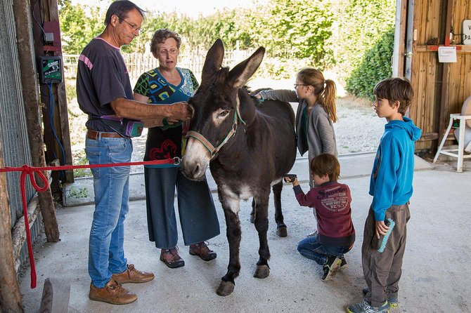 Walks and hikes with donkeys - A few kilometers through the Melusin country