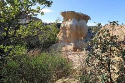 Wild Organs: Grand Landscape, Plants, Geology, Birdsongs - The geology lesson has a real sense of place