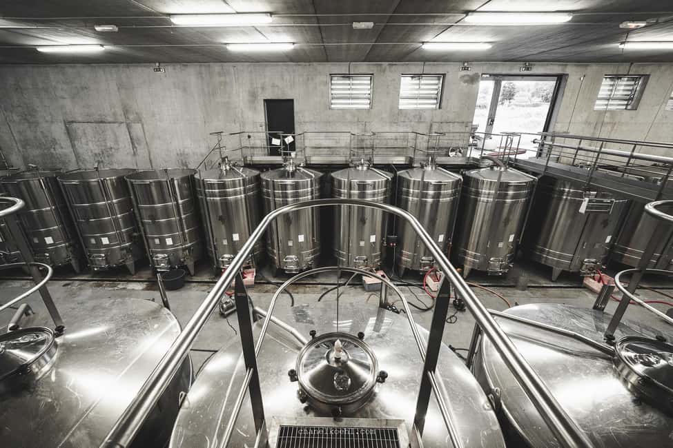 Wine and Cheese experience - Loire Valley in one hour: why this pairing format works