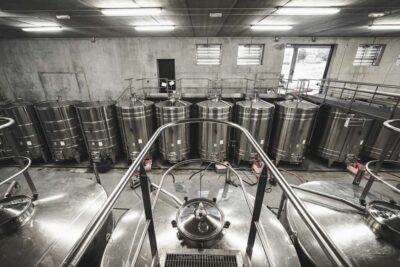 Wine and Chocolate experience - Seven Chinon wines, seven local chocolates