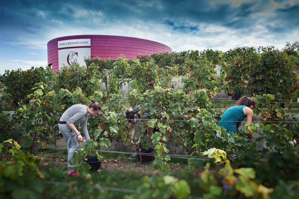 Wine and Chocolate experience - Adding the vineyard trail