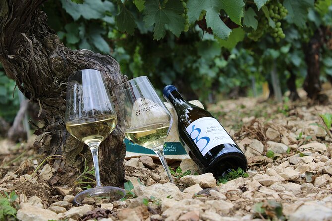 Wine Getaway with Tasting in the Chablis Vineyard - Key points to know
