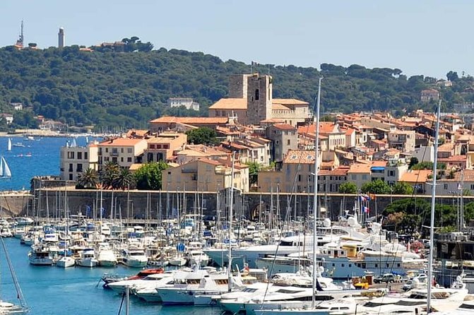 Wine Tasting, Provencal Market, Cannes and St Paul de Vence - Price and logistics: what you’re paying for