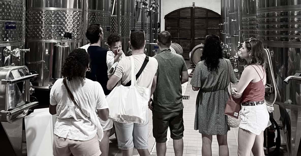 Wine Tasting Saint-Florent & Patrimonio - Key points at a glance