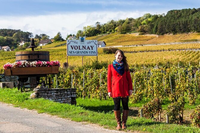 "Wine tasting tours in Burgundy" - Key points to know before booking