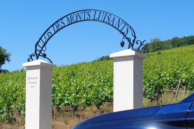 "Wine tasting tours in Burgundy" - What makes the guide valuable