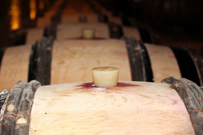 "Wine tasting tours in Burgundy" - Two wine regions in one long day
