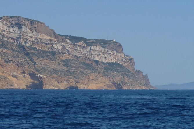 Wine Tour Bandol & Cassis from Marseille - Key points at a glance