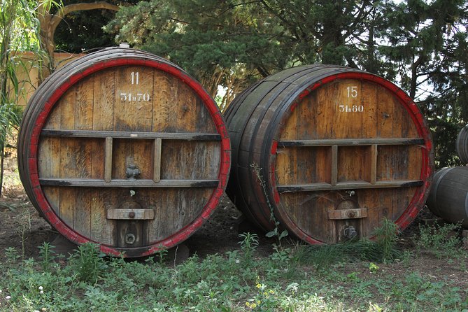 Wine Tour Bandol & Cassis from Marseille - Meeting in Marseille at 9:00 am