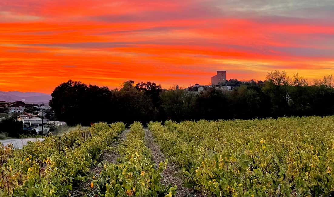 Wine Tour: On the Way to Chateauneuf du Pape - Why the southern Rhône makes a good classroom