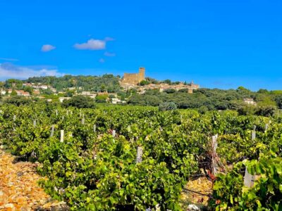 Wine Tour: On the Way to Chateauneuf du Pape - Leaving Provence for Gigondas