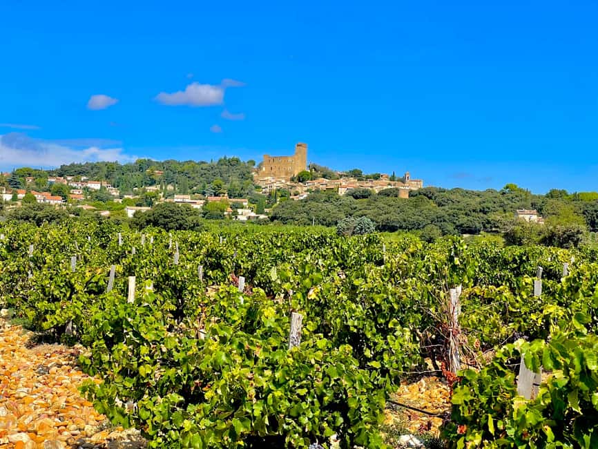 Wine Tour: On the Way to Chateauneuf du Pape - Leaving Provence for Gigondas