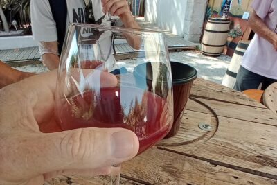 Wine tour Pic Saint-Loup from Montpellier with meals - From Montpellier to Les Matelles