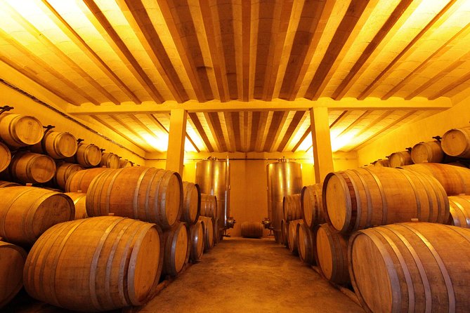 Winery Tour & Wine Tasting - Deli Plate & 3 Wines - Key Things I’d Pack for This Tour