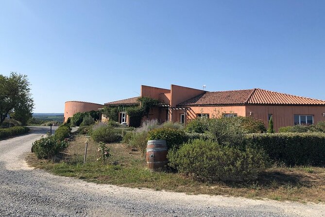 Winery Tour & Wine Tasting - Deli Plate & 3 Wines - O’Vineyards Carcassonne: a wine evening that’s not stuck in a city routine
