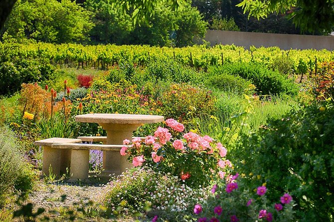 Winery Tour & Wine Tasting - Deli Plate & 3 Wines - Is it worth it for your plans? Who should book this